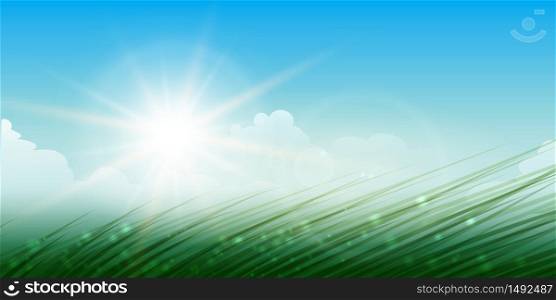 Summer background with shining sun, sky, clouds and green grass. Vector illustration.