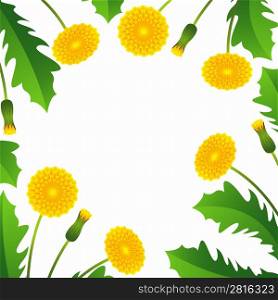 Summer background with yellow dandelions and green leaves.