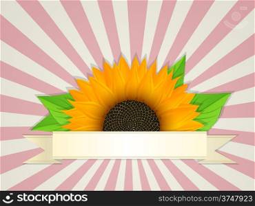 Summer bannerdesign with graphic sunflower