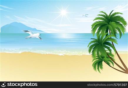 Summer beach with palm trees . Summer beach with palm trees and seagull vector illustration
