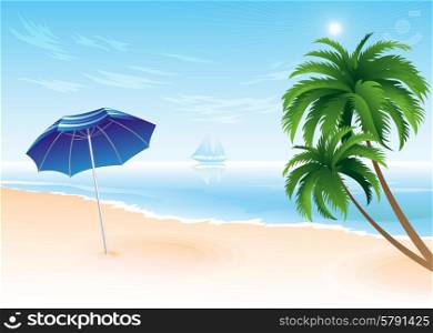 Summer beach with palm trees . Summer beach with palm trees vector illustration
