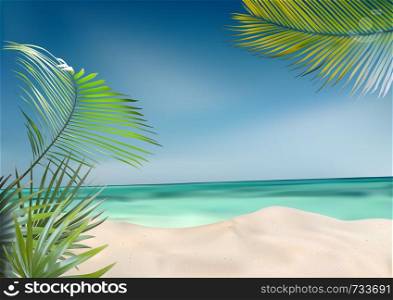 Summer Beach with Palms and Sea