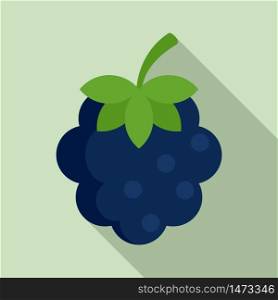 Summer blackberry icon. Flat illustration of summer blackberry vector icon for web design. Summer blackberry icon, flat style