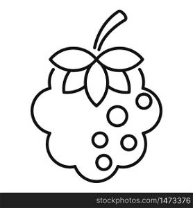 Summer blackberry icon. Outline summer blackberry vector icon for web design isolated on white background. Summer blackberry icon, outline style