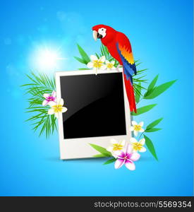 Summer blue background with red parrot and photo