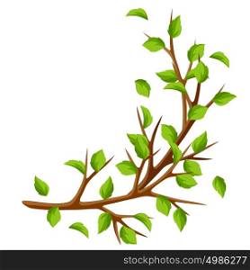 Summer branch of tree and green leaves. Seasonal illustration. Summer branch of tree and green leaves. Seasonal illustration.