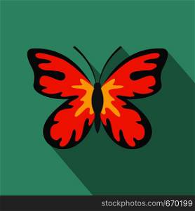 Summer butterfly icon. Flat illustration of summer butterfly vector icon for web. Summer butterfly icon, flat style.