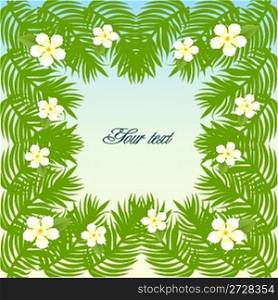 summer card with palm leaves frame and flowers
