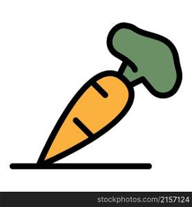 Summer carrot icon. Outline summer carrot vector icon color flat isolated. Summer carrot icon color outline vector