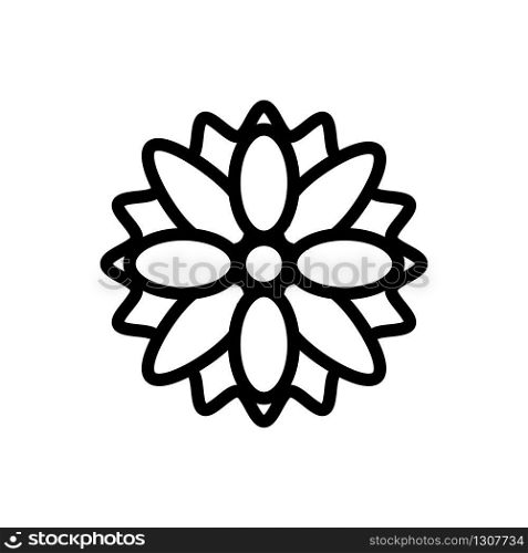 summer chrysanthemum icon vector. summer chrysanthemum sign. isolated contour symbol illustration. summer chrysanthemum icon vector outline illustration
