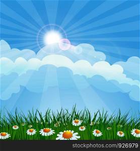 Summer Fields landscape. Meadow flowers and grass against clear blue sky. Vector background
