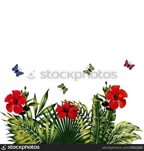 Summer floral composition red hibiscus flowers butterflies tropical plants white background. Vintage vector