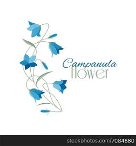 Summer flower campanula. Vector illustration blue bell-shaped bloom, summer flower Campanula