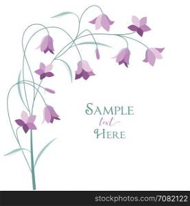 Summer flower campanula. Vector illustration purple bell-shaped bloom, summer flower Campanula