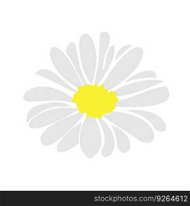 Summer flower daisy for invite.Summer plant daisy, chamomile. Vector elements for background, logo, tattoo. Daisy floral silhouette elements hand drawn botanical icon, summer meadow flower