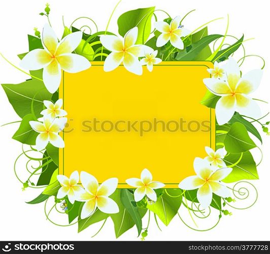 Summer flowers background, perfect for greeting cards or retail signage