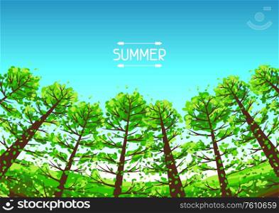 Summer forest background with stylized trees. Seasonal illustration.. Summer forest background with stylized trees.