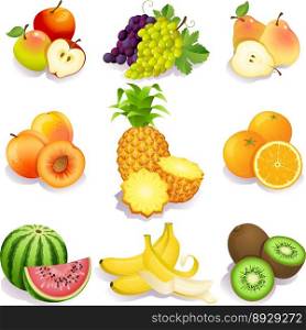 Summer fruit vector image