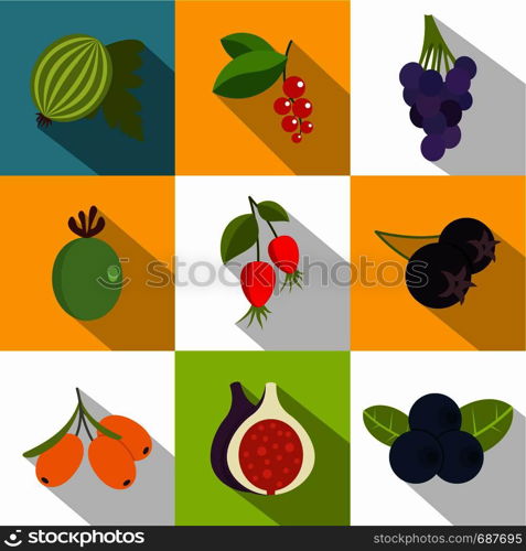 Summer fruits icons set. Flat set of 9 summer fruits vector icons for web with long shadow. Summer fruits icons set, flat style