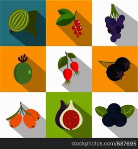 Summer fruits icons set. Flat set of 9 summer fruits vector icons for web with long shadow. Summer fruits icons set, flat style