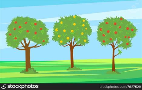 Summer garden with fruits vector, harvesting season. Apples growing on trees, red and yellow color. Landscape greenery of nature, natural production. Pick apples concept. Flat cartoon. Green Garden Trees with Ripe Lush Apples Fruits