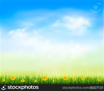Summer gaze background with blue sky and a field of dandelions. Vector