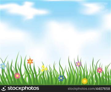 Summer. Grass on a meadow and the blue sky. A vector illustration