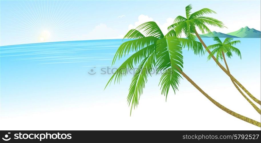 Summer holidays vector background with palm leaves and sea. Summer holidays vector background with palm leaves and sea EPS 10