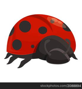 Summer ladybug icon cartoon vector. Ladybird bug. Beetle insect. Summer ladybug icon cartoon vector. Ladybird bug