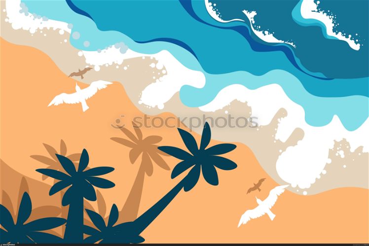 Summer landscape tropical island or bay, palm trees and flying birds top view vector. Wild beach dawn, sea and seaside, vacation and holiday. Exotic paradise resort, tidal bore on sand shore. Beach summer landscape, tropical island, palms and flying birds
