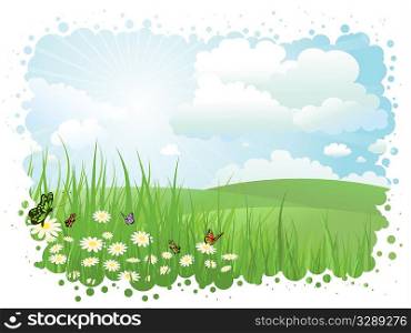 Summer landscape with butterflies and daisies in grass