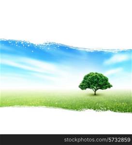 Summer Landscape With Field, Sky, Tree, Grass, Flowers On A Painted White Background