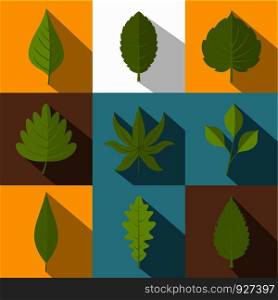 Summer leaf icon set. Flat style set of 9 summer leaf vector icons for web design. Summer leaf icon set, flat style
