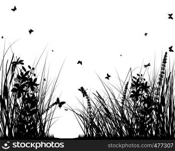 Summer Meadow Background With Butterflies. Vector Illustration.