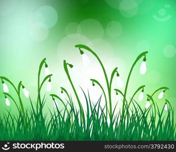 Summer meadow background with snowdrops. EPS 10 vector illustration with transparency and meshes.