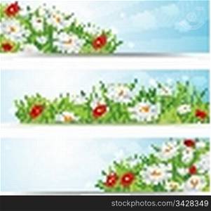 summer natural banners with flowes and blue sky, eps10 vector illustration