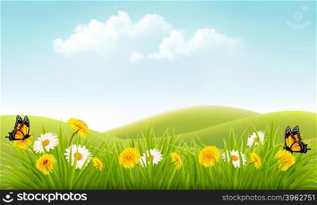 Summer nature background with grass and flowers and butterflies. Vector.