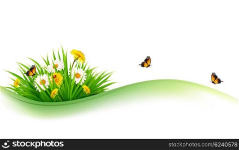 Summer nature background with grass, flowers and butterflies. Vector.