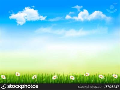 Summer nature background with green grass and sky . Vector.
