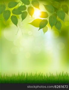 Summer nature background with green leaves. Vector.