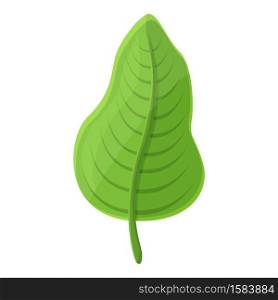 Summer party tree leaf icon. Cartoon of summer party tree leaf vector icon for web design isolated on white background. Summer party tree leaf icon, cartoon style