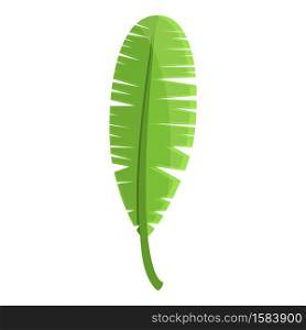 Summer party tropical long leaf icon. Cartoon of summer party tropical long leaf vector icon for web design isolated on white background. Summer party tropical long leaf icon, cartoon style