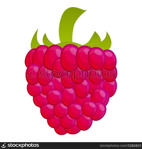 Summer raspberry icon. Cartoon of summer raspberry vector icon for web design isolated on white background. Summer raspberry icon, cartoon style