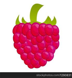 Summer raspberry icon. Cartoon of summer raspberry vector icon for web design isolated on white background. Summer raspberry icon, cartoon style