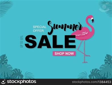 Summer Sale Background with Flamingo