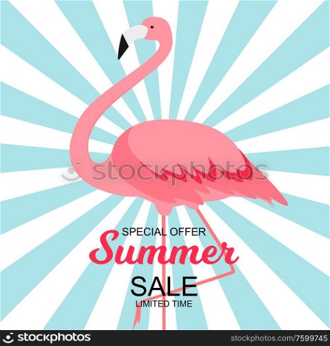 Summer Sale concept Background. Vector Illustration EPS10. Summer Sale concept Background. Vector Illustration