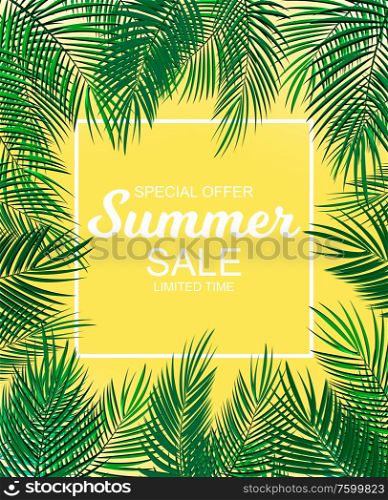 Summer Sale concept Background with Palm Leaves. Vector Illustration EPS10. Summer Sale concept Background with Palm Leaves. Vector Illustration