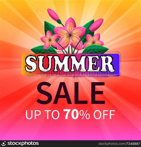 Summer sale up to 70 off advertisement poster design with beautiful exotic gentle pink flowers and green leaves, summertime total deal advert vector. Summer Sale Up 70 Off Advertisement Poster Design