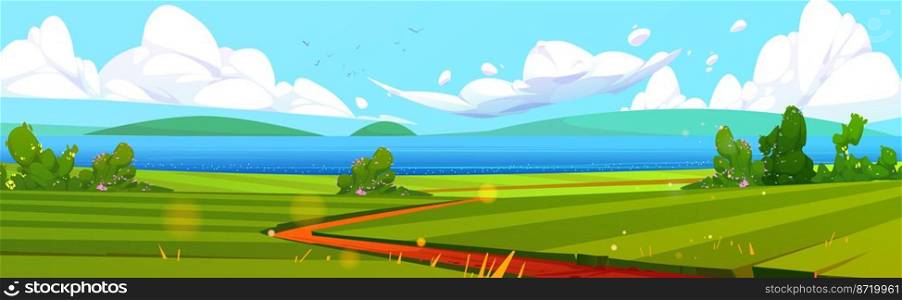 Summer seaside landscape, cartoon illustration. Vector design of beautiful lake, green field with footpath, blooming bushes and hills on horizon. Birds flying high in blue sky over water surface. Summer seaside landscape cartoon illustration