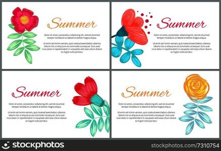 Summer set of colorful banners decorated with plants on white background. Vector illustration with summertime theme posters, drawn flowers and herbs. Summer Set of Colorful Banners Vector Illustration